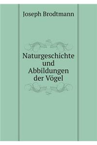 Naturgeschichte Und Abbildungen Der Vögel