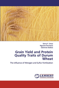 Grain Yield and Protein Quality Traits of Durum Wheat