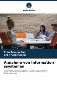 Annahme von Information ssystemen