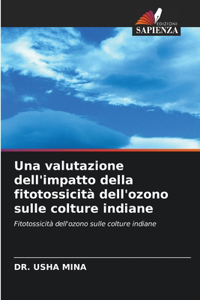 valutazione dell'impatto della fitotossicità dell'ozono sulle colture indiane