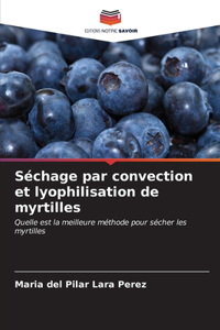 Séchage par convection et lyophilisation de myrtilles