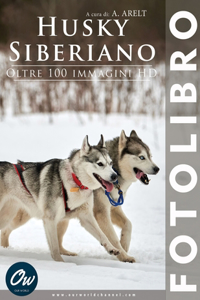Husky siberiano