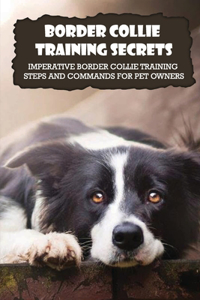 Border Collie Training Secrets