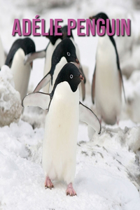 Adélie Penguin