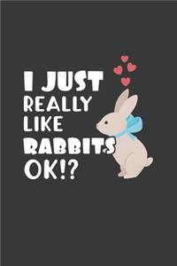 I Just Really Like Rabbits OK?
