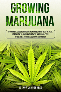Growing Marijuana