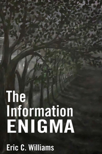 Information Enigma