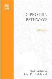 G Protein Pathways, Part B