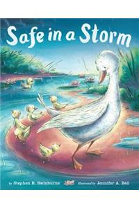 Safe in a Storm