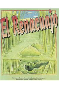 El Renacuajo