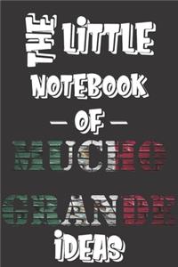 The Little Notebook of Mucho Grande Ideas