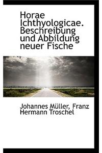 Horae Ichthyologicae. Beschreibung Und Abbildung Neuer Fische
