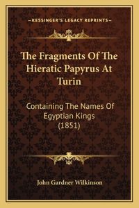 Fragments Of The Hieratic Papyrus At Turin