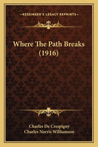 Where The Path Breaks (1916)