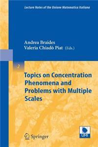 Topics on Concentration Phenomena and Problems with Multiple Scales
