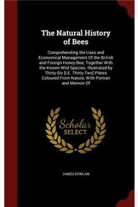 The Natural History of Bees