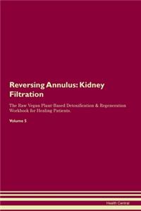 Reversing Annulus