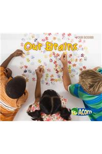 Our Brains
