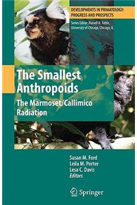 Smallest Anthropoids