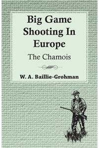 Big Game Shooting In Europe - The Chamois