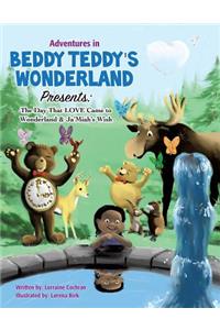 Adventures in Beddy Teddy's Wonderland Presents