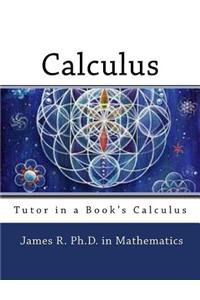 Tutor in a Book's Calculus