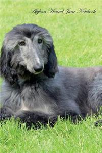 Afghan Hound June Notebook Afghan Hound Record, Log, Diary, Special Memories, To Do List, Academic Notepad, Scrapbook & More