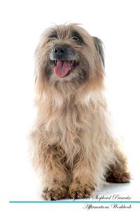 Pyrenean Shepherd Affirmations Workbook Pyrenean Shepherd Presents: Positive and Loving Affirmations Workbook. Includes: Mentoring Questions, Guidance, Supporting You.