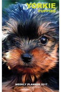 Yorkie Puppies Weekly Planner 2017