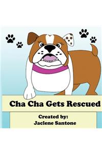 Cha Cha Gets Rescued