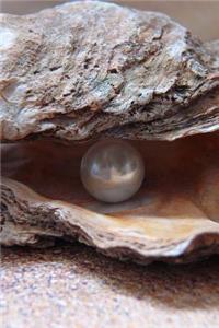 A Single White Pearl in an Oyster Shell Journal