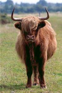 Ever So Handsome Shaggy Brown Scottish Highland Cow Journal