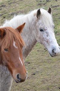 Two Horses are Looking at You Equestrian Journal