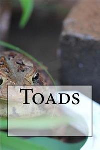 Toads