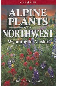 Alpine Plants of the Northwest