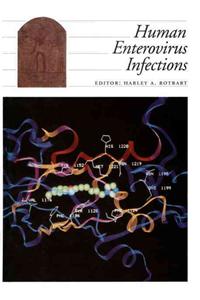 Human Enterovirus Infections