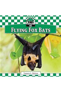 Flying Fox Bats