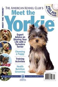 Meet the Yorkie