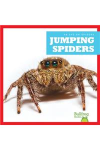 Jumping Spiders