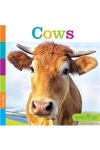 Seedlings: Cows
