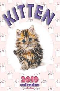 Kitten 2019 Calendar (UK Edition)