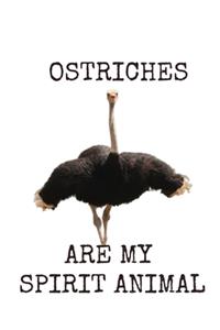 Ostriches Are My Spirit Animal