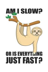 Am I Slow? Or Is Everything Just Fast?