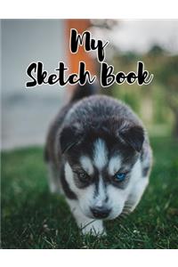 My Sketch Book