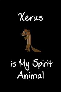 Xerus is My Spirit Animal