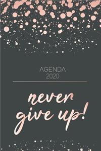 Agenda 2020