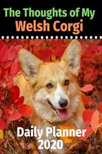 The Thoughts of My Welsh Corgi