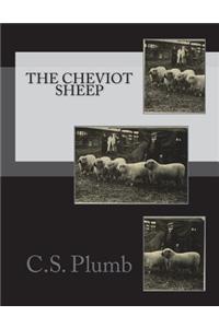 The Cheviot Sheep