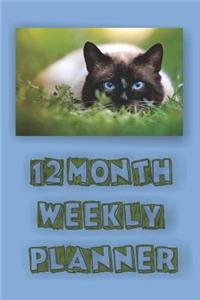 12 Month Weekly Planner