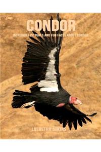 Condor